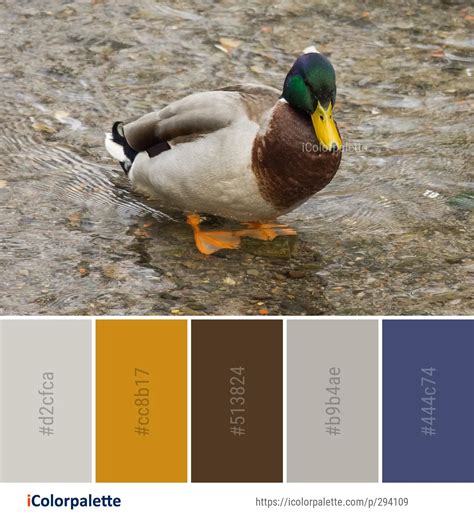 Color Palette Ideas from Duck Bird Mallard Image | iColorpalette