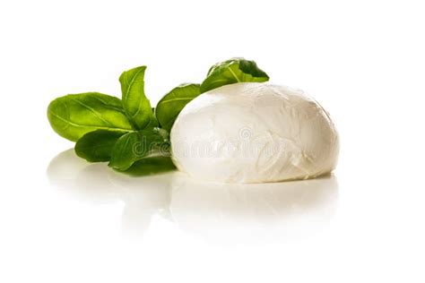 Mozarella Cheese Stock Photo Image Of Italian Closeup