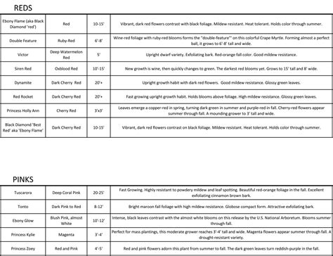 Crape Myrtle Selection Guidelines - Backbone Valley Nursery