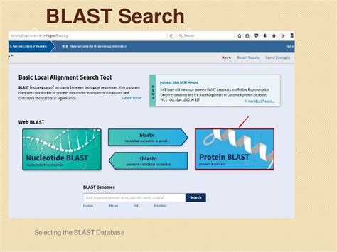 Blast Basic Local Alignment Search Tool