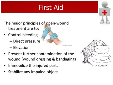 First Aid And Bandaging Ppt