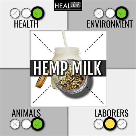 Hemp Milk Benefits + Side Effects