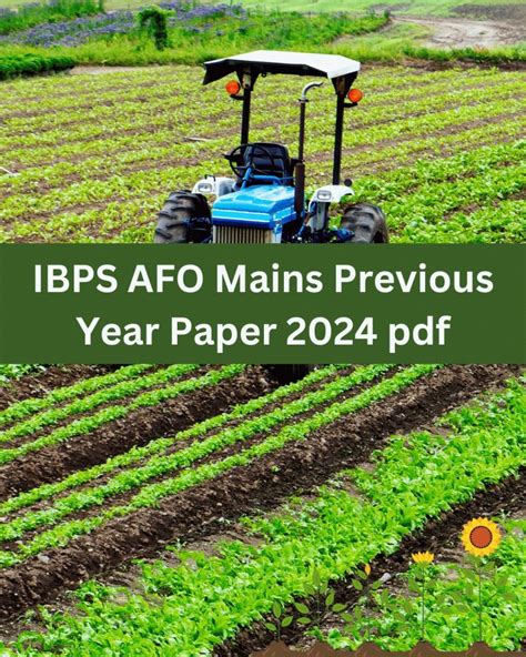 IBPS AFO Mains Previous Year Paper 2024 Pdf Agri Guru