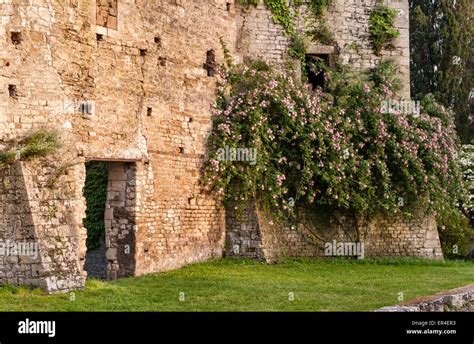 Ninfa Latina Lazio Italy A Spectacular Romantic Landscape Garden Set Among The Ruins Of A