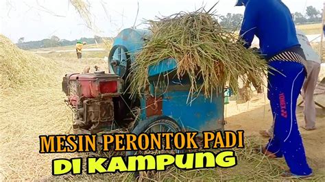 MESIN PANEN PADI PROSES PERONTOKAN PADI LANGSUNG DI SAWAH YouTube