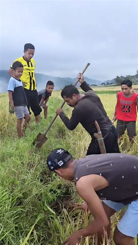 Pulang Ke Kampung Halaman Di Ntt Potret Betrand Peto Ikut Berburu