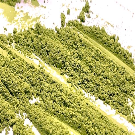 When Matcha Goes Bad: How to Know When Your 'Cha Has Lost its Mojo