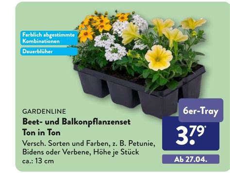 Gardenline Beet Und Balkonpflanzenset Ton In Ton Angebot Bei Aldi S D