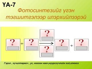 фотосинтез | PPT