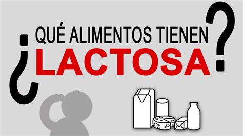 Alimentos Con Lactosa Qu Alimentos Tienen Lactosa Y Qu Es La