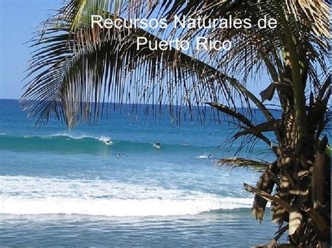 Recursos Naturales