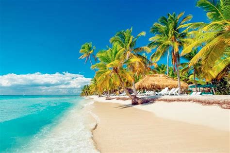 Las mejores playas de la República Dominicana Punta Cana Adventures