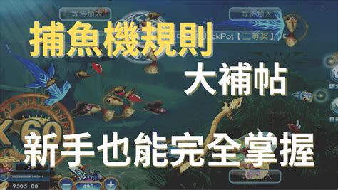 【捕魚機遊戲】捕魚機怎麼玩？捕魚機規則有哪些？ Wg娛樂城