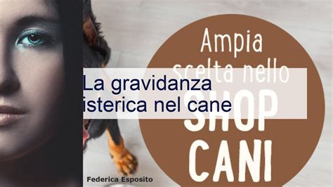 La Gravidanza Isterica Nel Cane YouTube