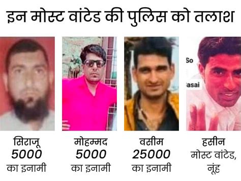 Haryana Police Most Wanted Gangster Search Nuh District Raid Update Dgp