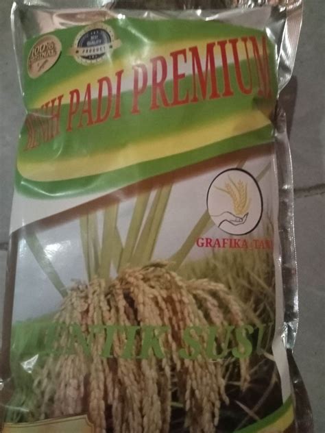 Benih Padi MENTIK SUSU Kemasan 1 Kg Lazada Indonesia