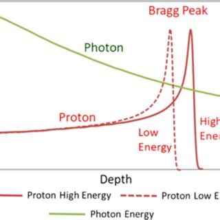 Schematic Representation Of Depth Dose Deposition For A Photon Beam