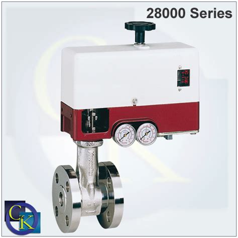 21000 Series Top-Guided Globe Control Valve