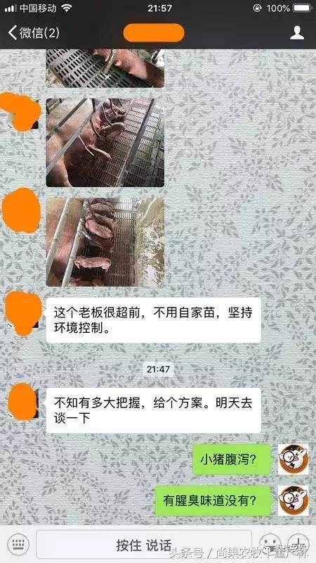 你的豬場還在發生損失慘重的腹瀉問題？請你看看這兩個案例？ 每日頭條