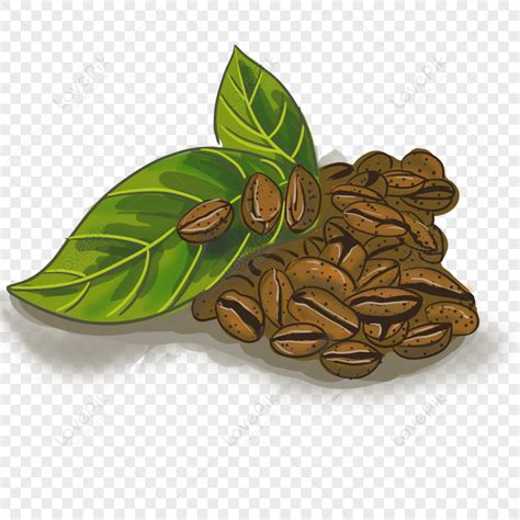 Coffee Bean Clipart PNG Images With Transparent Background | Free Download On Lovepik