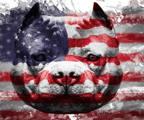 American Bully Logo