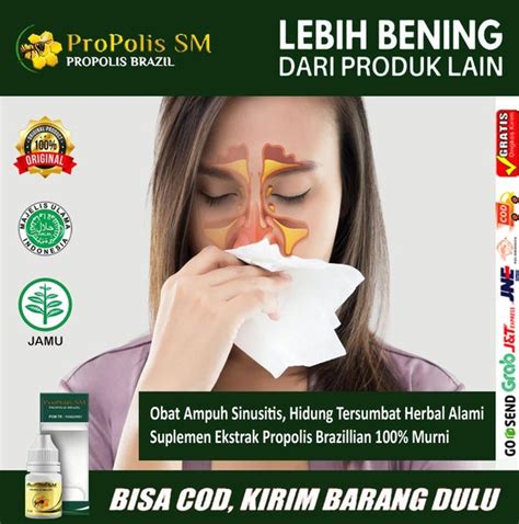 Jual Obat Sinusitis Polip Hidung Tersumbat Herbal Alami Di Lapak