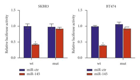 Circepsti Functions As A Sponge For Mir In Skbr And Bt Cells