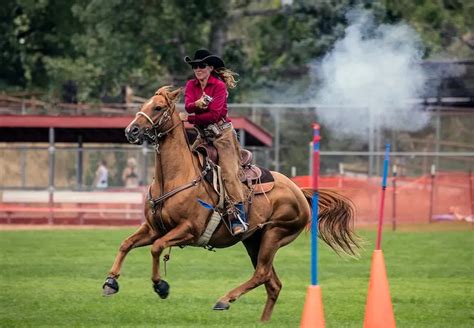 The Evolution And Popularity Of Quarter Horses