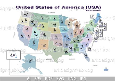 Vector USA Map State Birds Svg Ai Eps Pdf Dxf Png Jpg Download Sparrow ...