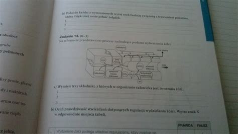 zadstr na schemacie przedstawiono procesy zachodzace podczas