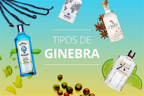 Qué tipos de ginebra hay Vino en Camino