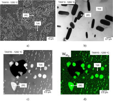 A Sem Micrograph Bse Mode Of Alloy Taw10 Ti 549al 33 W