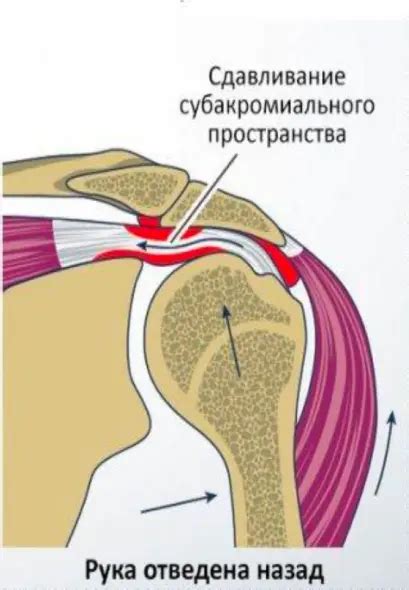 KINESIOMEDIKA