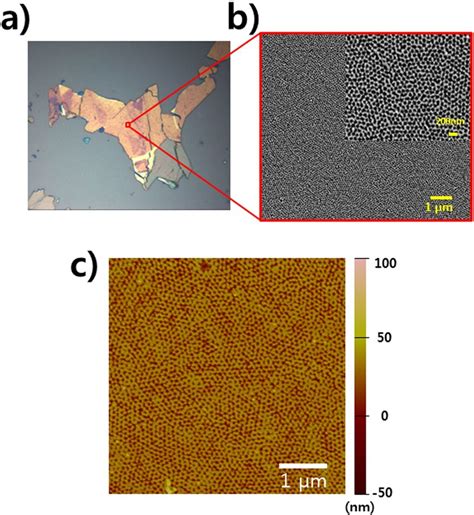 A Optical Microscopy Image And B Sem C Afm Images Of A Large