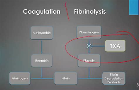 Pharmacology Exam Iii Anticoagulants Flashcards Quizlet