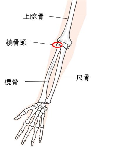 腕・肘（ひじ）が痛い ｜ 阿部整形外科クリニック｜三鷹市の整形外科｜武蔵境駅からバス10分・駐車場あり