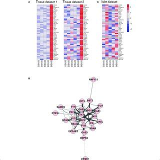 A A Signature Of Genes Was Discovered Differentiating The Divid