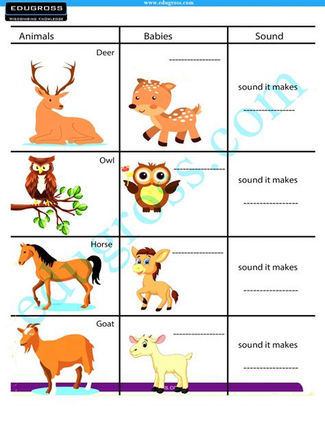 Cbse Sample Paper For Class 2 English Set 2 Er Pdf