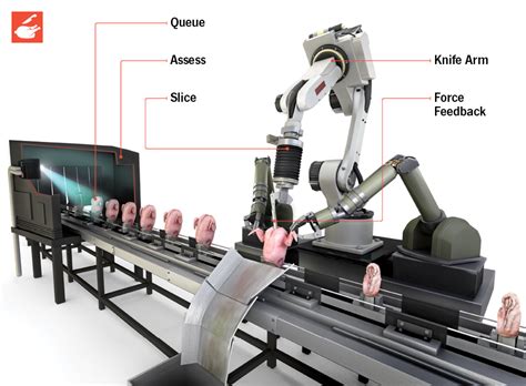 How It Works The Robotic Chicken Butcher Popsci13yz0pl