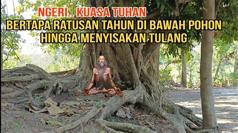 KUASA TUHAN BERTAPA RATUSAN TAHUN DI BAWAH POHON SAMBI SAMBI DEMI