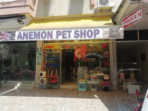 Alanya Petshop Adres Telefon Yol Tarifi Ve Yorumlar