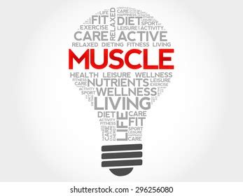 Muscle Bulb Word Cloud Health Concept Stock Vector Royalty Free