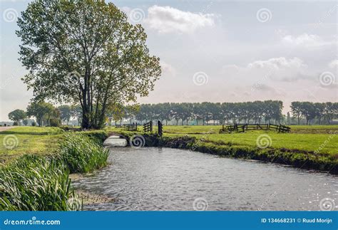 Typical Dutch Polder Landscape In The Alblasserwaard Stock Image