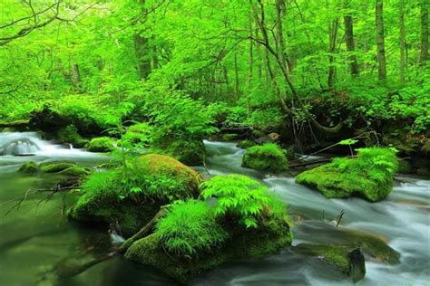 梅雨だからこそ美しい。日本の雨絶景7選 Tabizine～人生に旅心を～