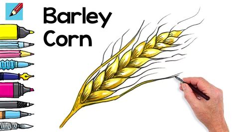 Drawing Of Barley Crop Strings are used in the tailoring and woodworking professions to craft ...