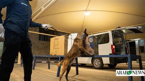 Saudi Border Guards In Jazan Thwart Attempt To Smuggle 550 Kilograms Of