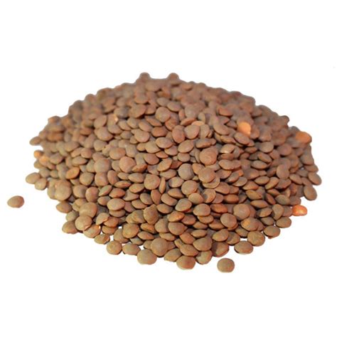 Whole Brown Lentils - AGT Foods