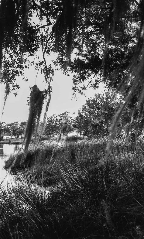 How Low Can You Go Exploring Low Iso Films Shoot It With Film