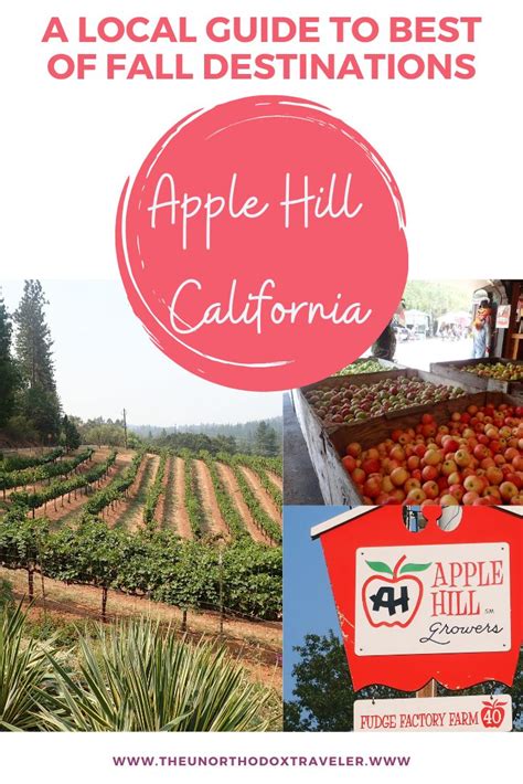 Local Guide To Best Of Fall Destination Apple Hill California Apple