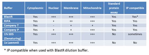 Lysis Buffer Recipe For Proteins Bryont Blog